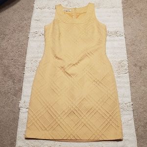 Evan-Picone Women's lemon shift dress Size 12